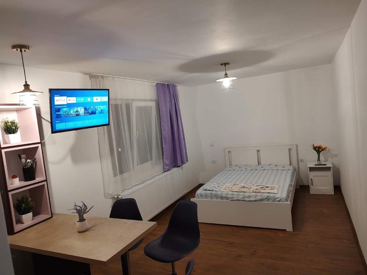 Garsoniera Dania&Petru 1 Tîrgu Ocna Exterior foto