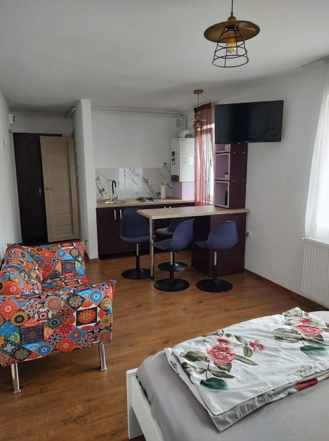 Garsoniera Dania&Petru 1 Tîrgu Ocna Exterior foto